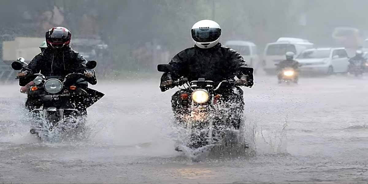 Rain riding dodging roadkill risky stop gets when Rain riding dodging roadkill risky stop gets when